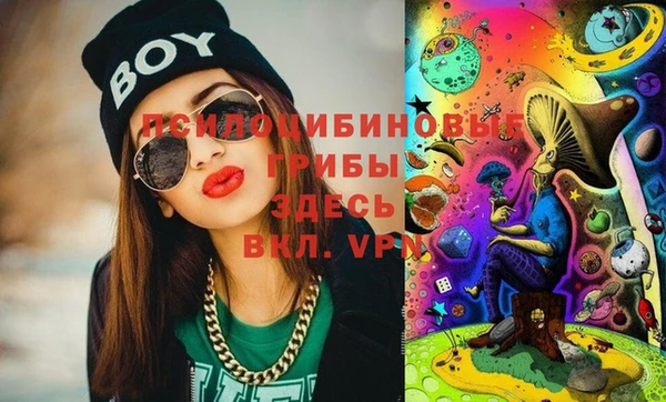 Альфа ПВП Струнино