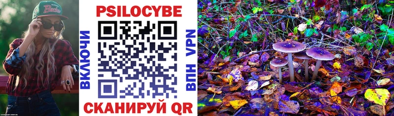 Псилоцибиновые грибы прущие грибы  Купить где  Михайлов 